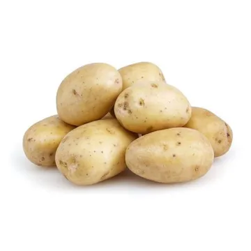 Krompir mladi bio kg-0